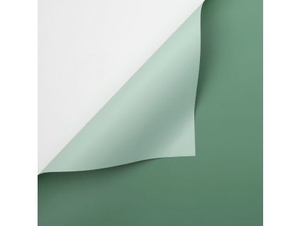 Květinová fólie - pastelově zelená + šalvějově zelená - listy 58x58 cm - 20ks