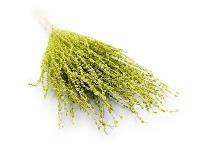 Lepidium Zielone Suszone 5 (3)