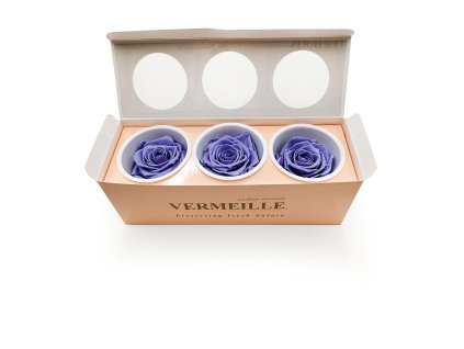 Róża Stabilizowana Very Grape pud otw