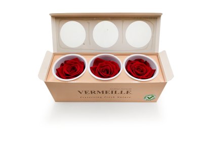 Róża Stabilizowana Red pud otw