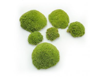 Ball Moss - kopečkový mech - světle zelená - 2kg - FR