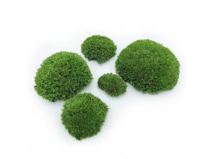 Ball Moss - kopečkový mech - středně zelená - 200g - FR