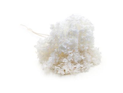 Stabilizovaná hortenzie (Hydrangea Cabeza) - Bílá - Kytice