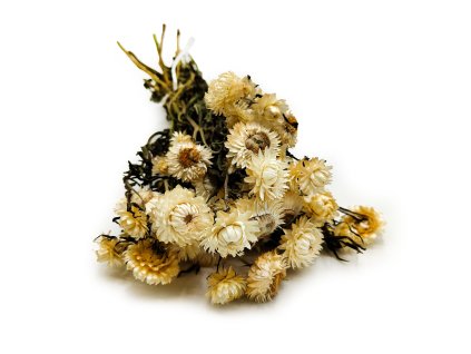 Helichrysum naturalne suszona kocanka Granvia okl