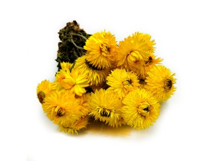 Helichrysum żółte suszona kocanka Granvia okl