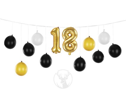 GBN20 18 019 01 S (1)