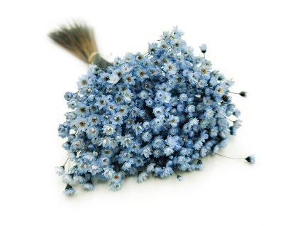 Sušená Glixia - (Comanthera) - modrá 50g