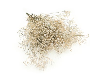 Stabilizovaný Šater - (Gypsophila) - přírodní bílá