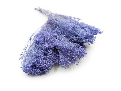 Sušený Broom Bloom - Levanduľová