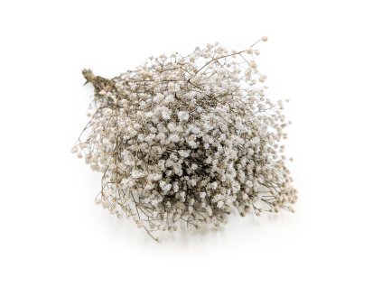 Stabilizovaný Šater prémium - (Gypsophila) - přírodní bílá