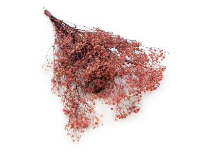 Stabilizovaný Šater prémium - (Gypsophila) - růžová