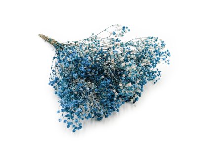 Stabilizovaný Šater prémium - (Gypsophila) - modrý