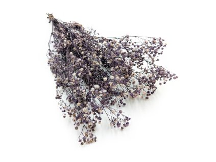 Stabilizovaný Šater prémium - (Gypsophila) - fialový