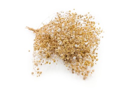 Stabilizovaný Šater prémium - (Gypsophila) - žlutá