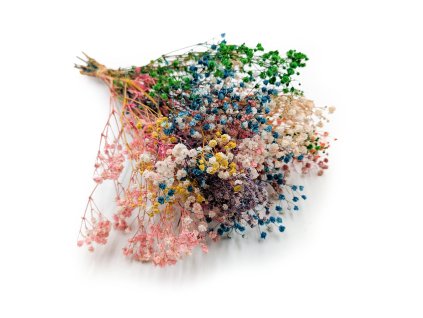 Stabilizovaný Šater prémium - (Gypsophila) - duhový mix