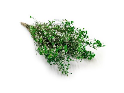 Stabilizovaný Šater prémium - (Gypsophila) - zelený