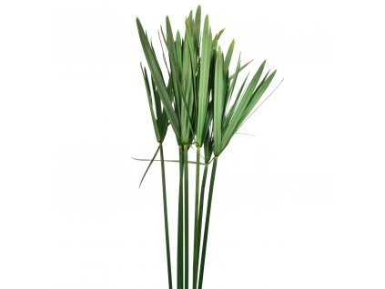 Papirus 1