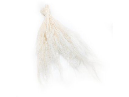 Sušená tráva Agrostis - Bielená