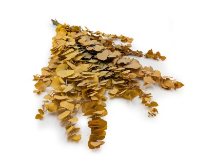 Stabilizovaný eukalyptus – Stuartiana – Žlutý