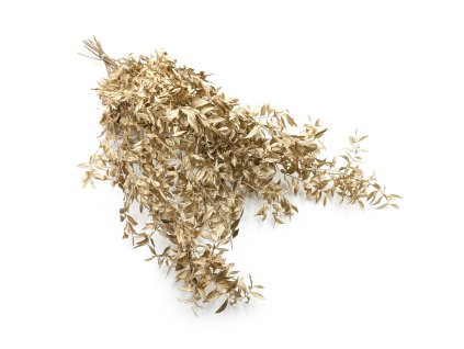 Stabilizovaný Ruskus - (Ruscus) - Zlatý