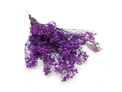 Stabilizovaný Šater prémium - (Gypsophila) - Purpurový