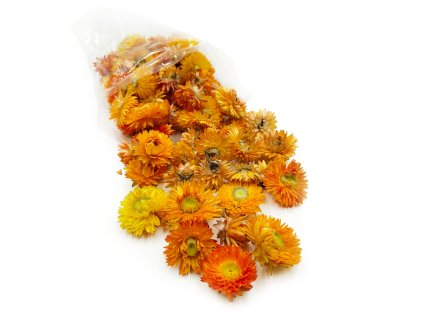 Sušené hlavičky Slaměnky (Helichrysum) - oranžová
