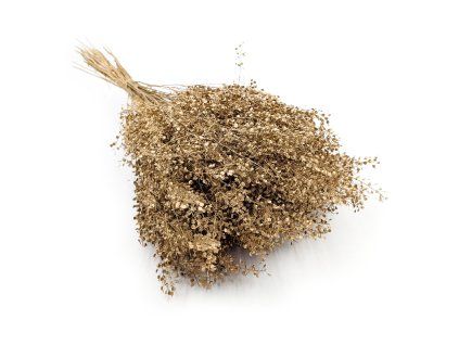 Řeřicha (Lepidium sativum) - Zlaté