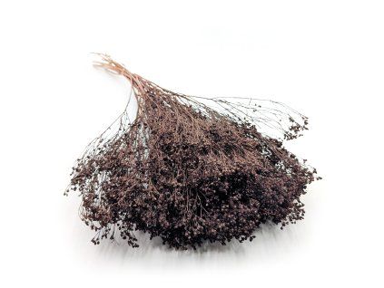 Sušený Broom Bloom - Čokoládová