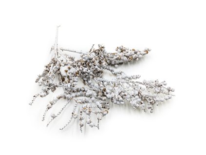 Sušená větvička pepře - Canella bielona - 100g