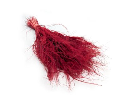 Sušený Kavyl Ivanův - (Stipa pennata) - Bordó