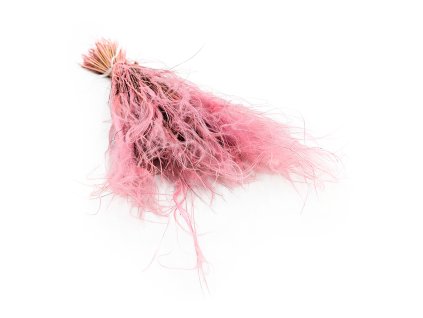 Sušený Kavyl Ivanův - (Stipa pennata) - Antický růž