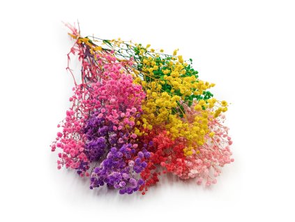 Stabilizovaný Šater - (Gypsophila) - Royal Bouquet  - barevný mix