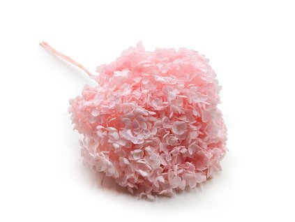 Stabilizovaná hortenzie (Hydrangea Cabeza) - Royal - Růžová