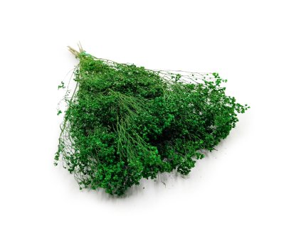 Sušený Broom Bloom - Zelený