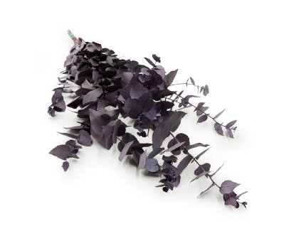 Stabilizovaný eukalyptus - Stuartiana - chladná fialová