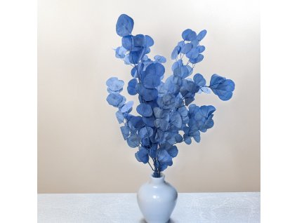 Stabilizovaný eukalyptus Populus - Royal - Modrá