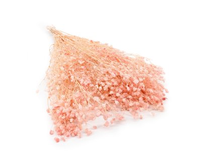 Gips royal Soft Pink 00