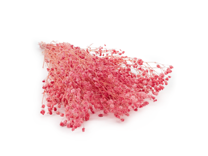 gips royal raspberry 0