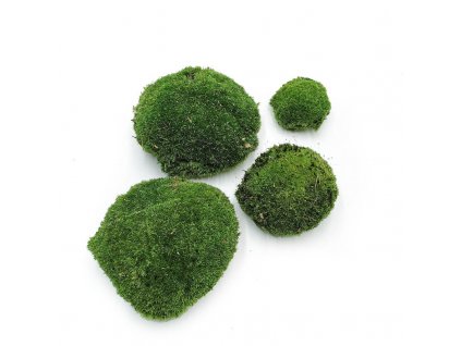 Ball Moss - kopečkový mech - tmavozelený - 100g - SWE