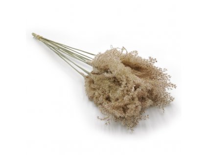 Suszona trawa do wazonu boho pampas