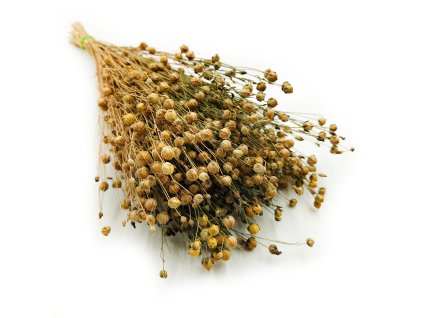 Len Suszony Naturalnyokl