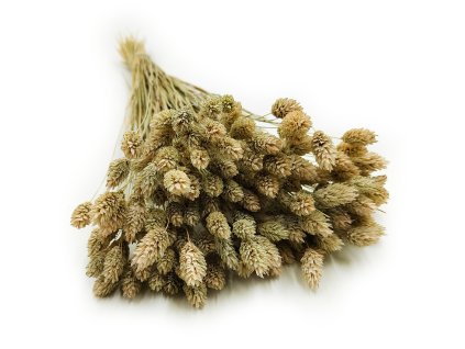 Naturalny3