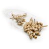 Acorn bunch Bleached 10szt paczka