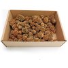 Casurina Natural 100g paczka