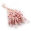Králičí ocas Vřesový (Lagurus) - kytice