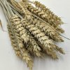 żyto naturalne bukiet 50g zbliz