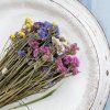 Sušená Limonka chobotnatá (Limonium sinuatum) - mix