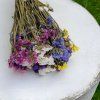 Sušená Limonka chobotnatá (Limonium sinuatum) - mix