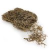 curly moss złoty paczka okladka