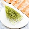 Lepidium Zielone Suszone 3 (2)